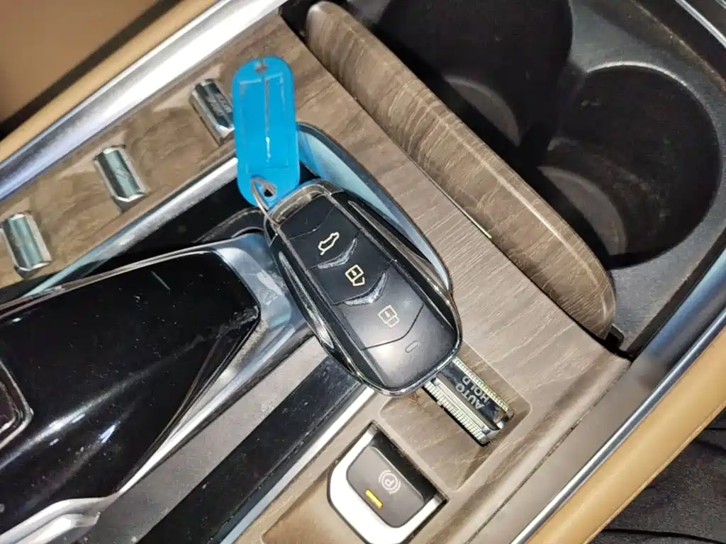 Landian E5 2024 2023 1.5L DE-i 100KM Premium 5-Seater