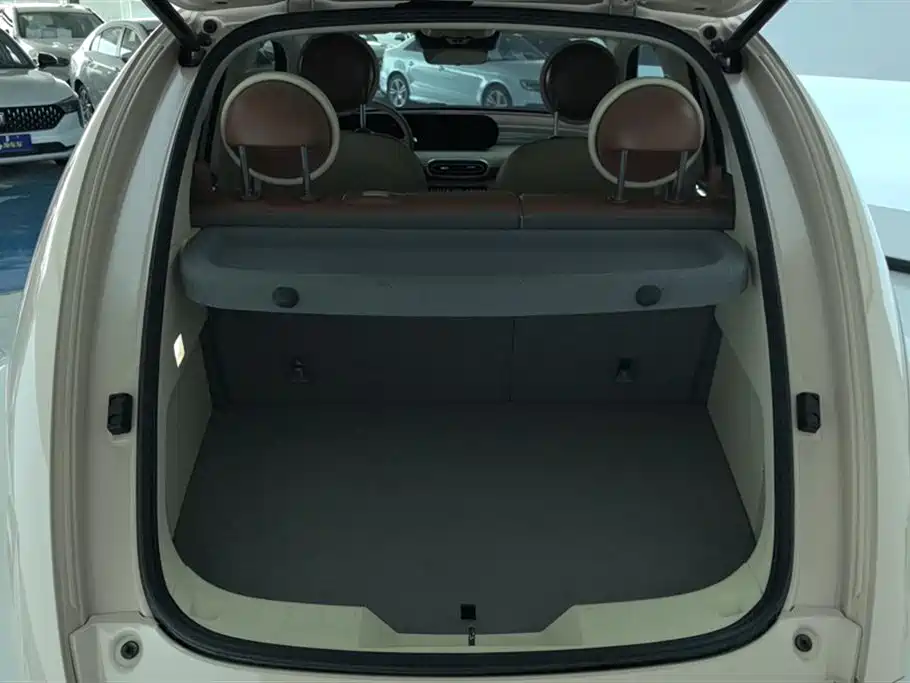 Ora Ballet Cat 2024 2023 401km Premium Model