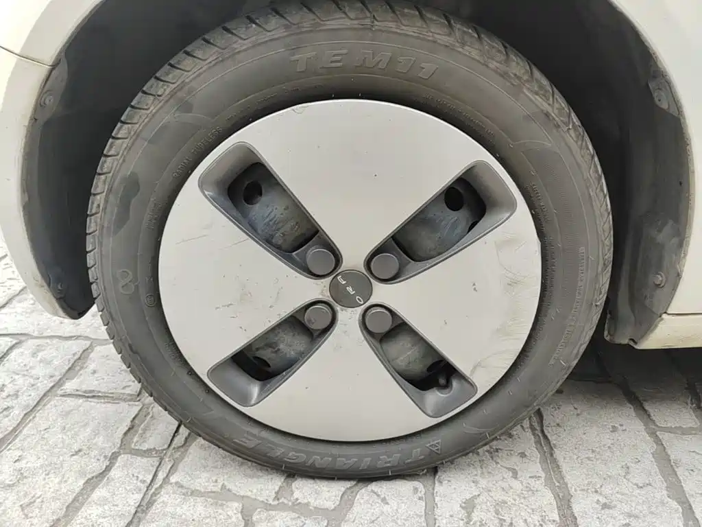 Ora Black Cat 2019 2019 Model 351km Smart Fun Edition