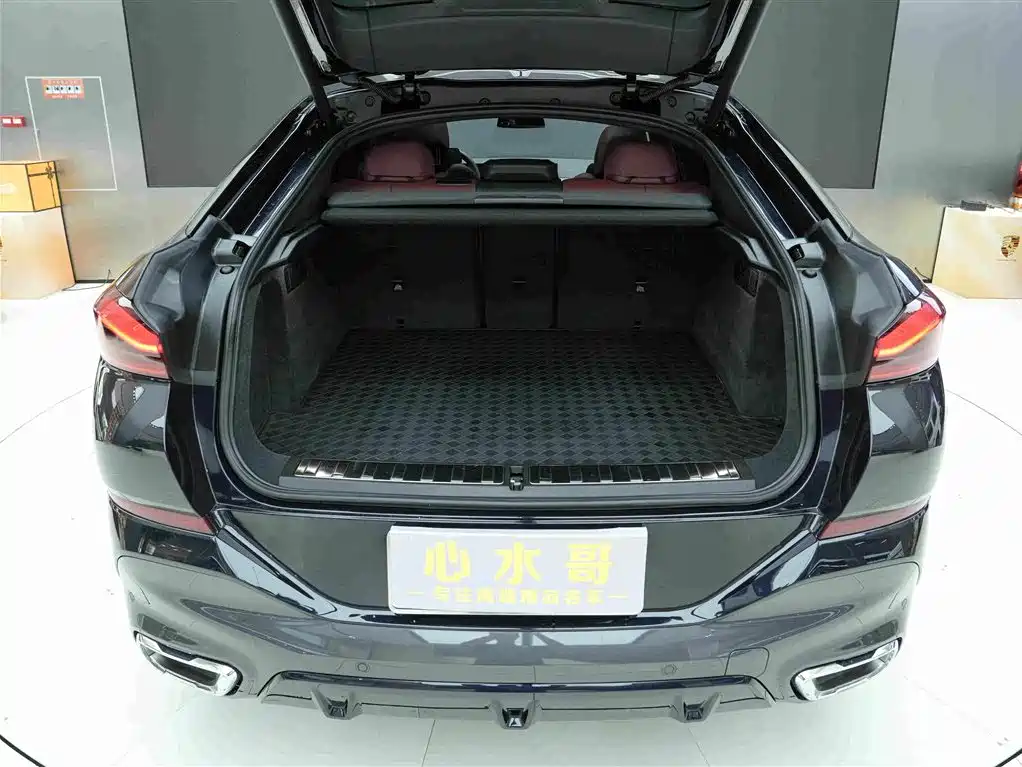 BMW X6 2025 2023 xDrive30i M Sport Package