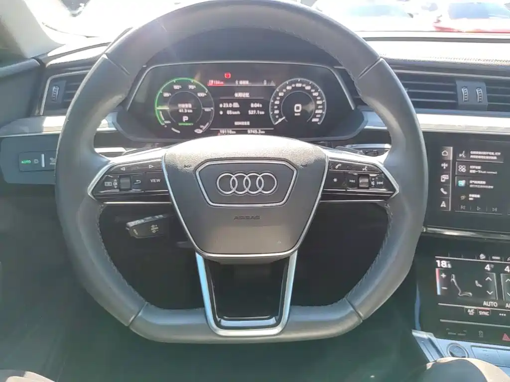 Audi e-tron 2022 2021 50 quattro Luxury