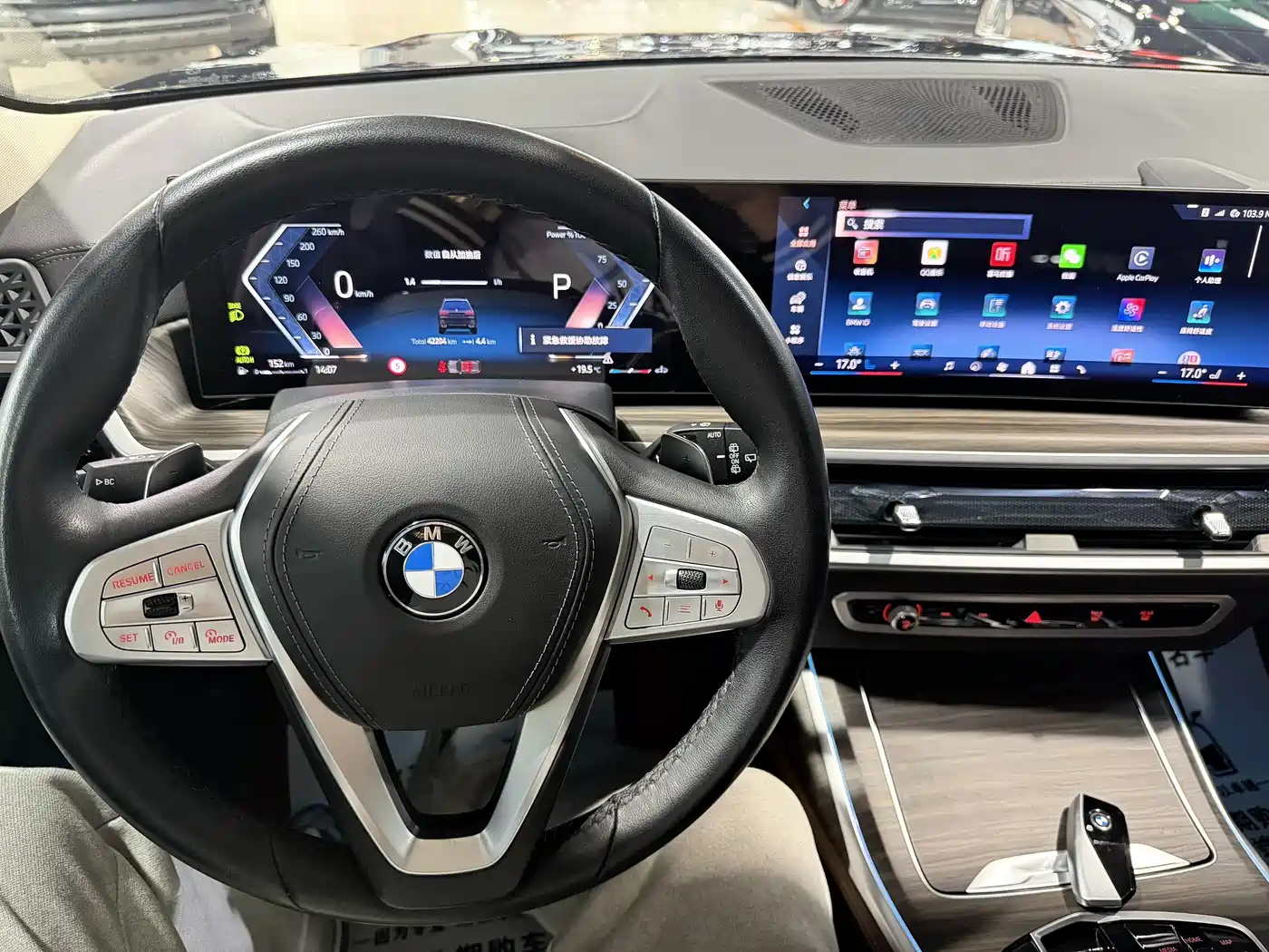 BMW X7 2023 xDrive40i Leading Luxury Package фото 9