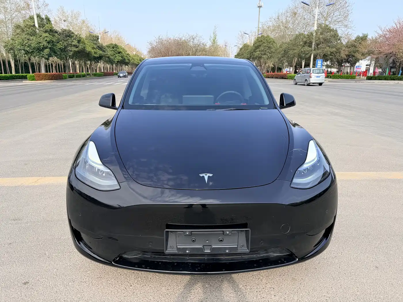 TESLA MODEL Y