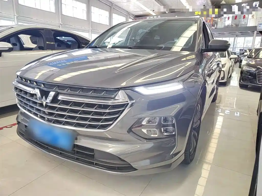 Wuling Motors Wuling Victory 2020 1.5T CVT Premium Edition