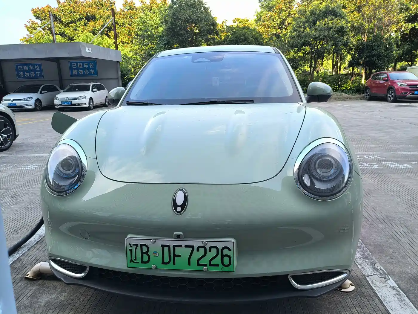 Ora Good Cat 2024 2023 401km Standard Range Luxury LFP