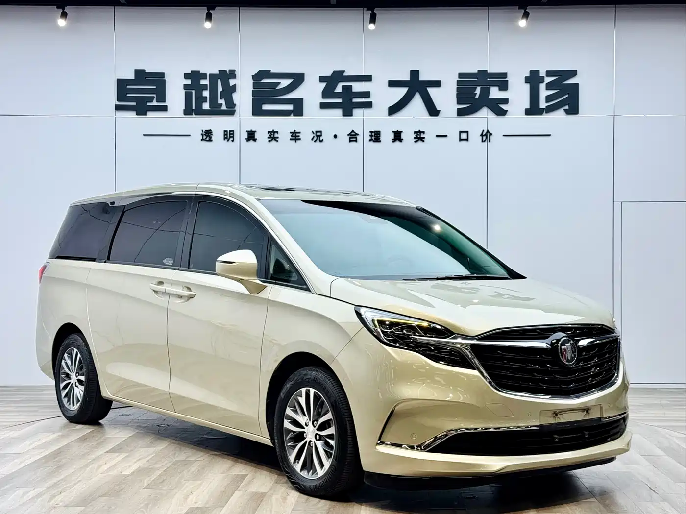 Buick GL8 2021 ES Landlord 653T Premium фото 3