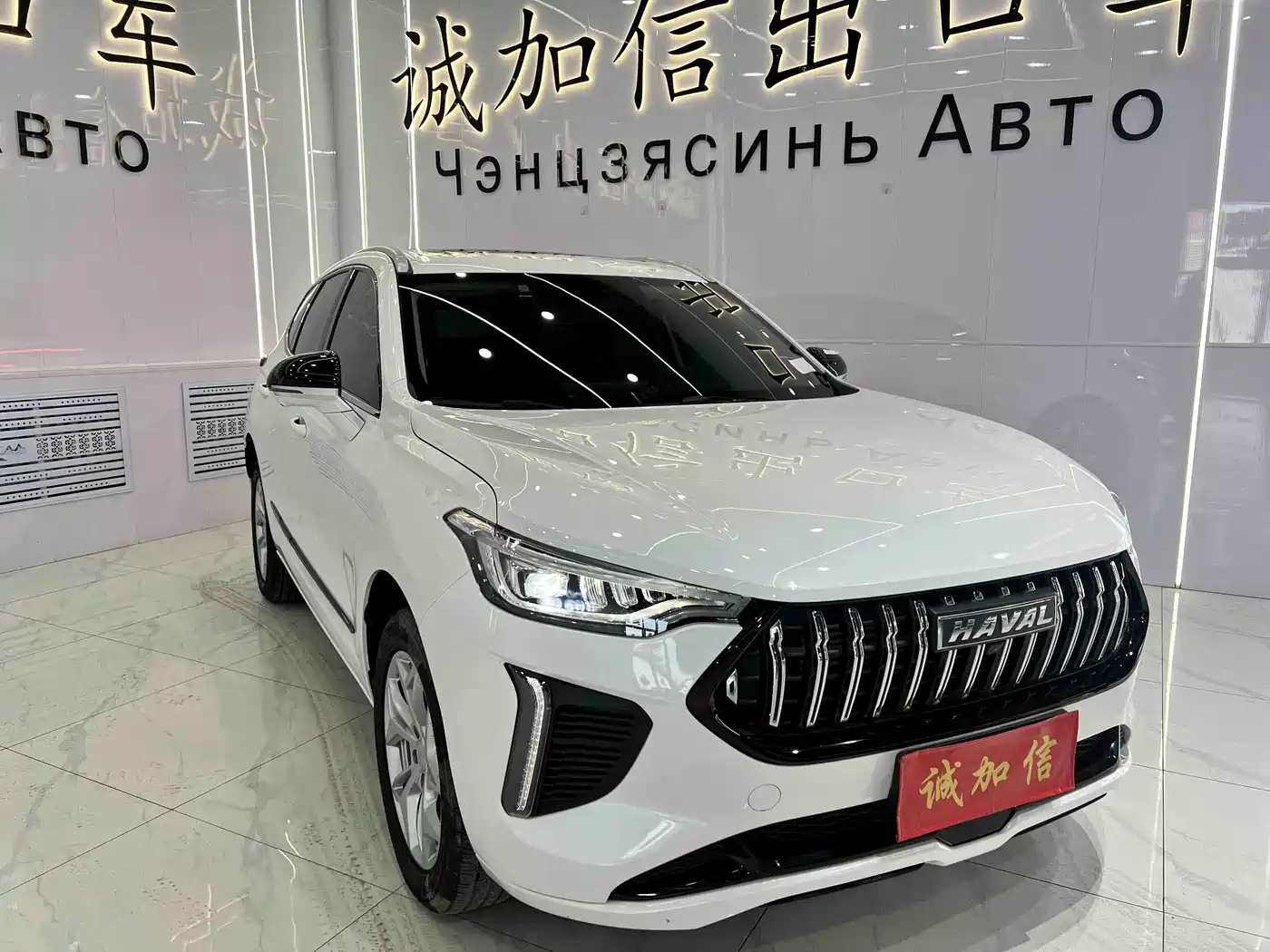 Haval Chitu 2024 2023 1.5T Excellence