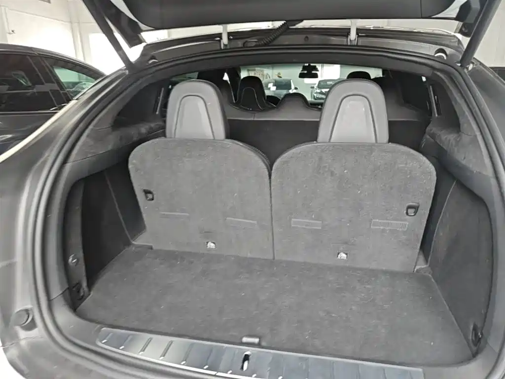 Фото 19 - Tesla Model X