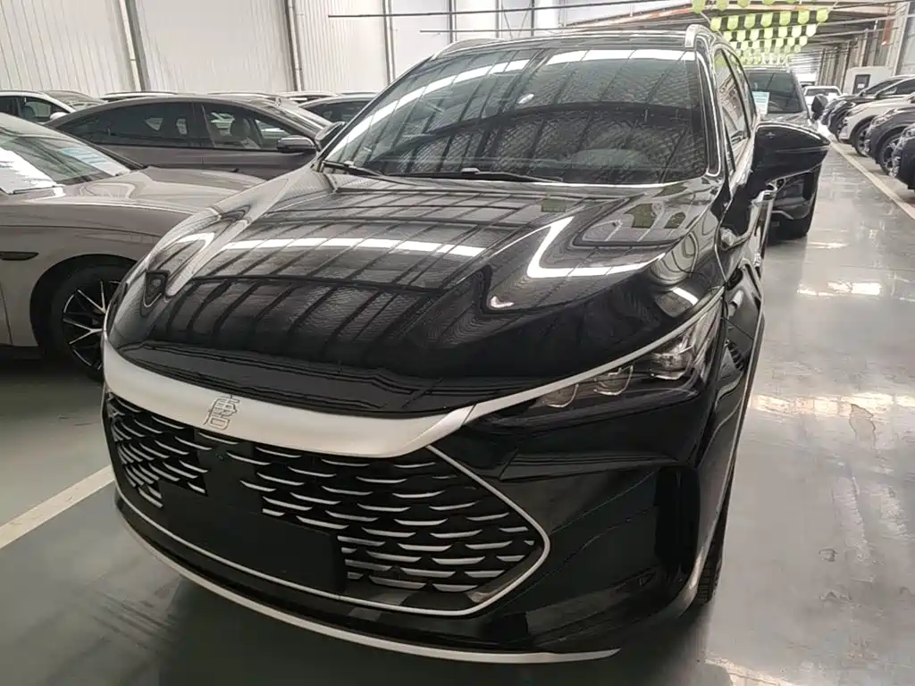 BYD Tang New Energy 2025 2025 Smart Driving Edition DM-i 115KM Honor