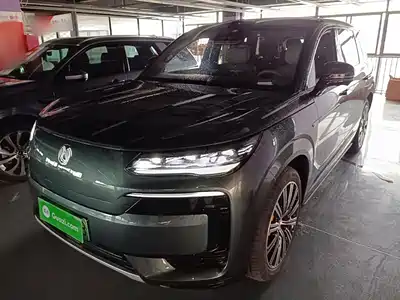 Denza N9