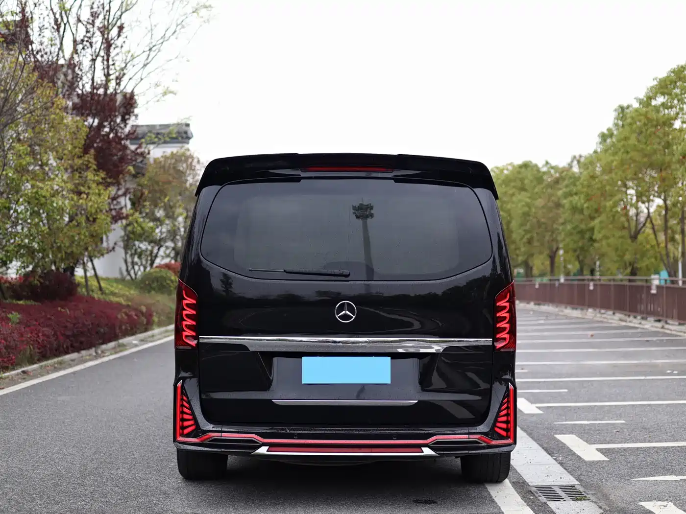 Mercedes-Benz V-Class 2018 V 260 Premium Edition China V фото 5