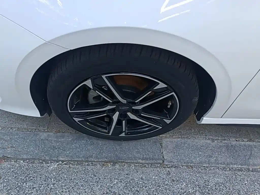 Фото 23 - Geely Binrui