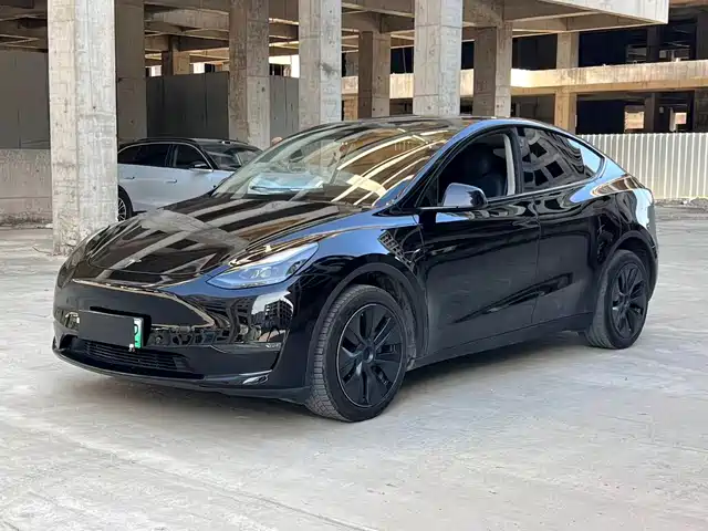  Tesla Model Y 2024 Long Range AWD