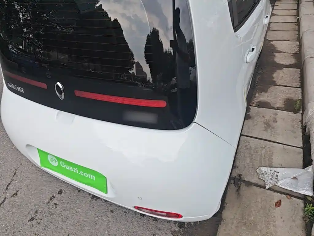 Ora White Cat 2021 2020 305km Luxury