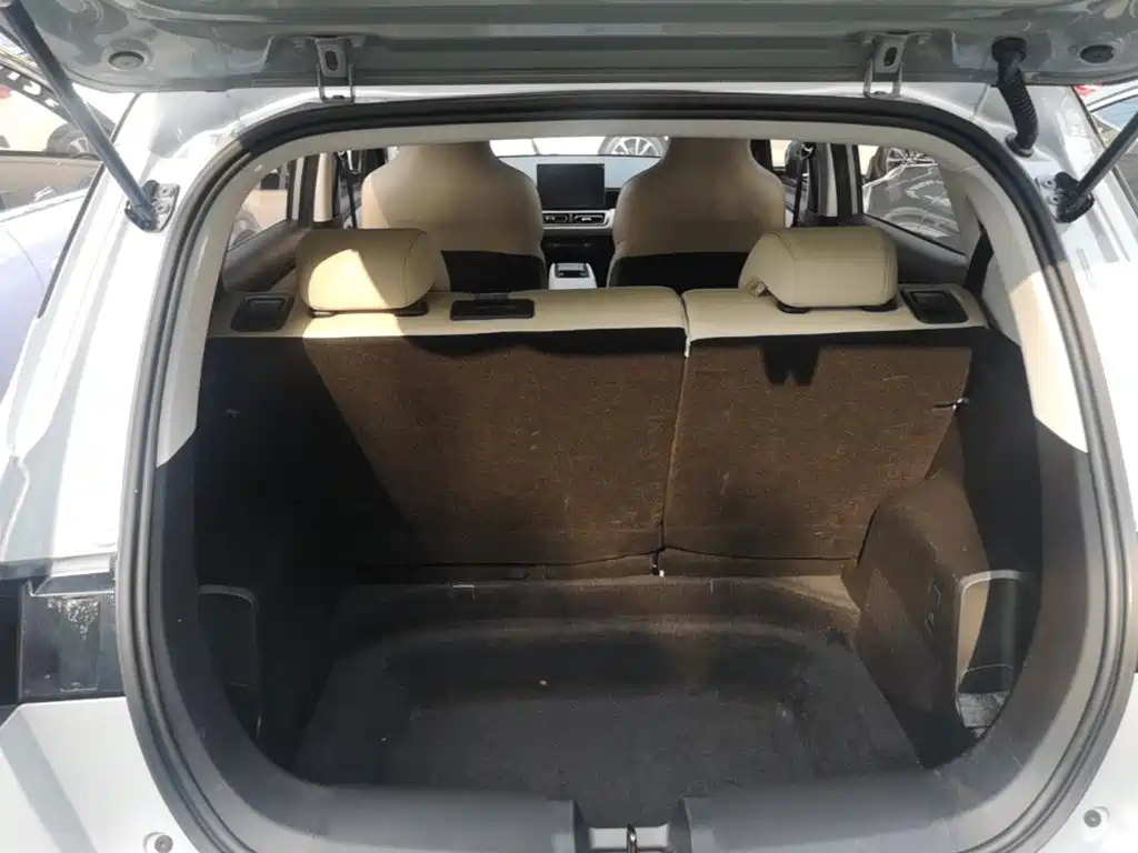 Wuling Motors Wuling Binguo PLUS 2024 2024 401km Range 5-seater