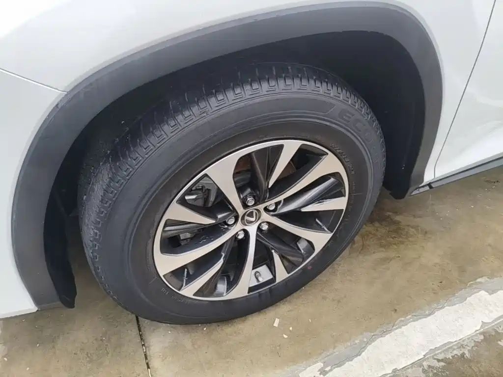 Фото 23 - Lexus RX