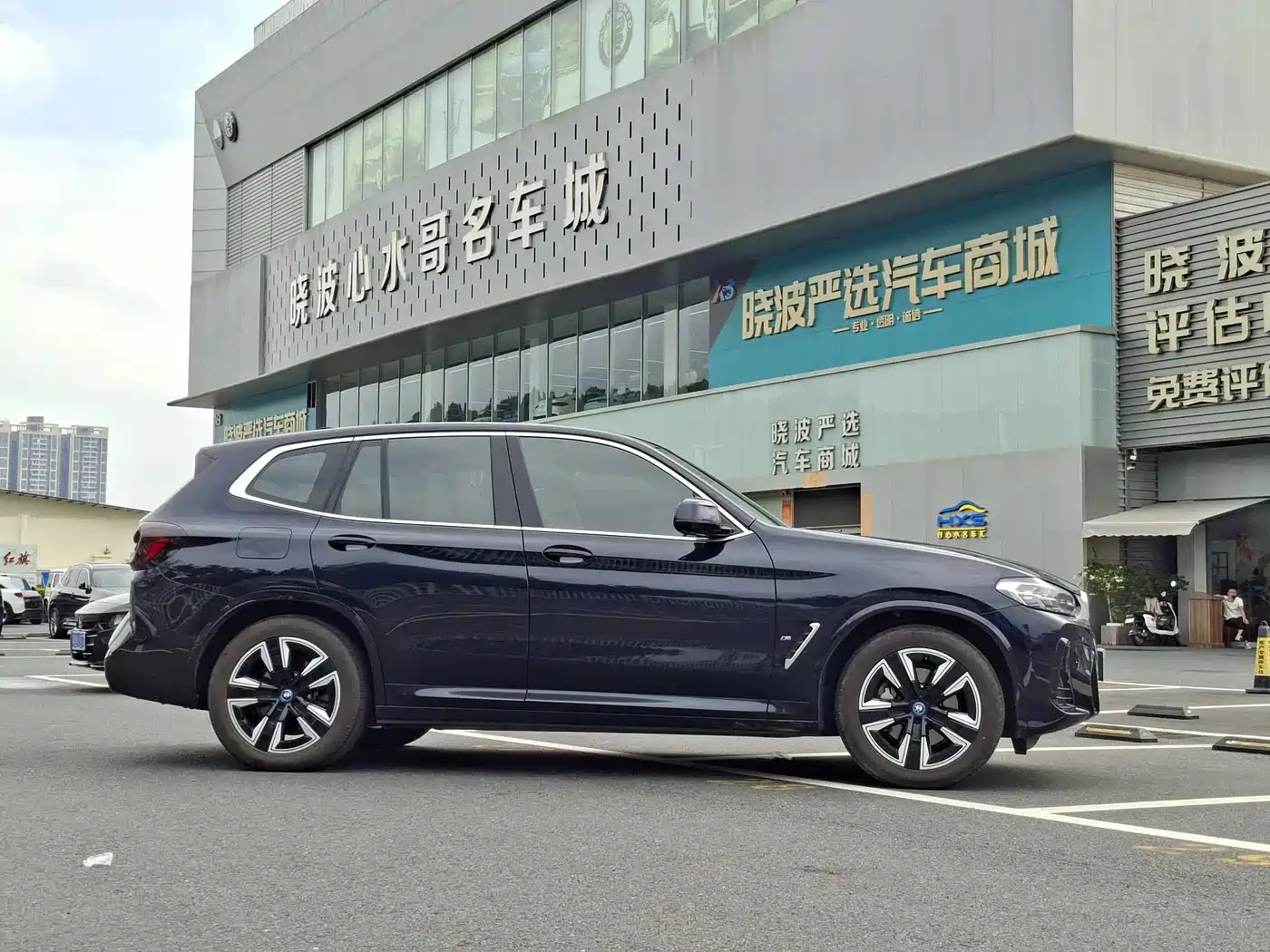 BMW iX3 2025 2024 Leading Edition