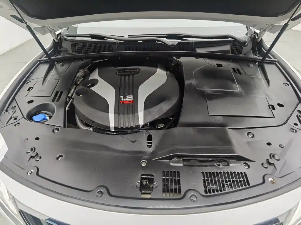 Фото 6 - Geely Borui