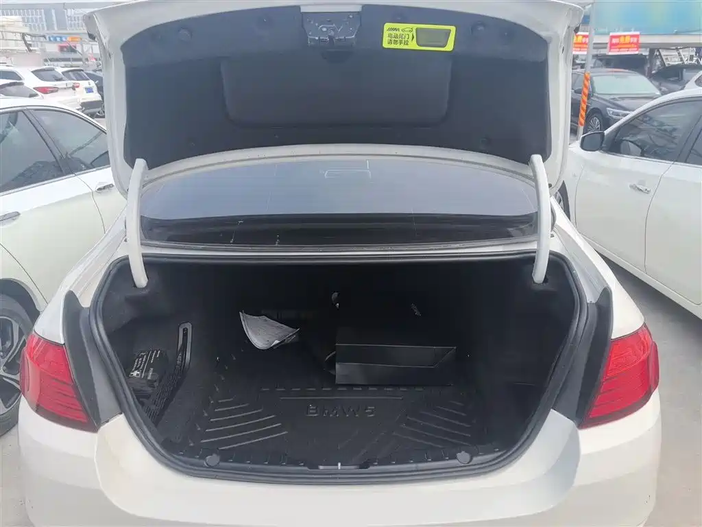 BMW 5 Series 2014 520Li Elegance фото 10