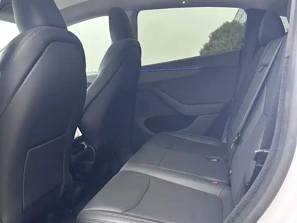 Tesla Model Y 2025 Model Long Range All-Wheel Drive Launch Edition фото 6