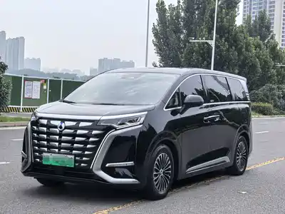 Denza D9