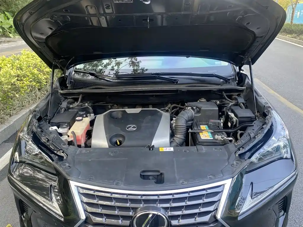 Lexus NX 2018 Model 200 FWD Fengxing Edition China V фото 15