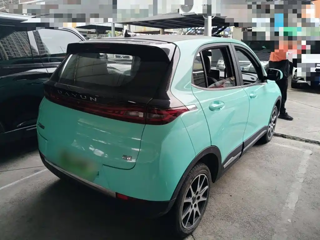 Dayun Yuehu 2022 2022 30.66kWh 2WD VIP Edition
