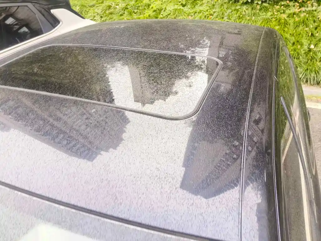 Фото 6 - Škoda Octavia