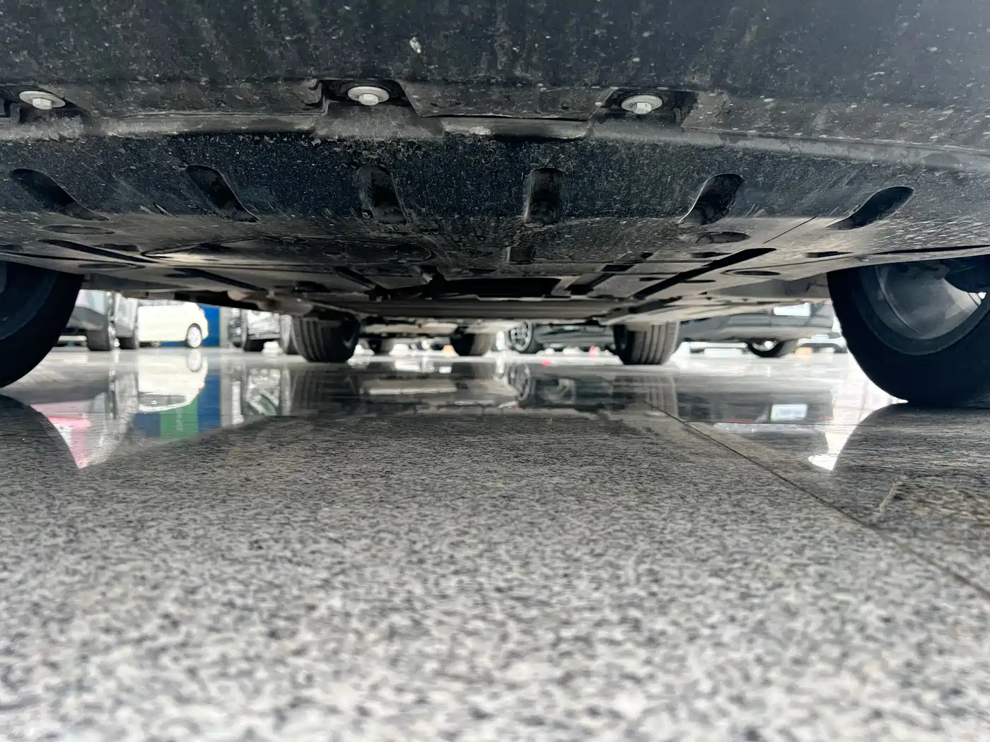 BYD SEA LION 06 NEW ENERGY