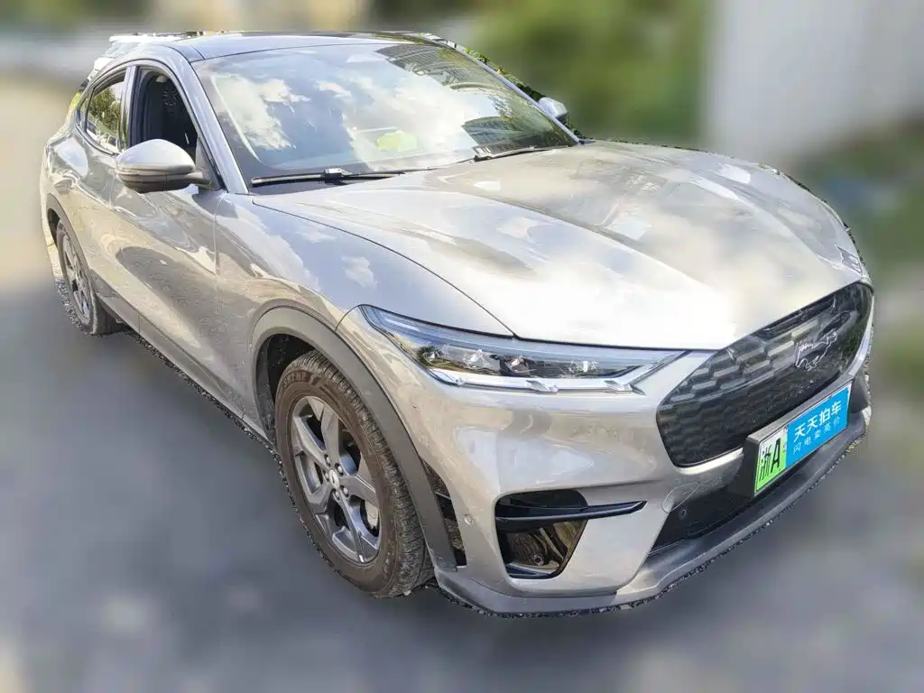 Ford Mustang Mach-E 2022 2021 Leap World RWD (Standard Range)