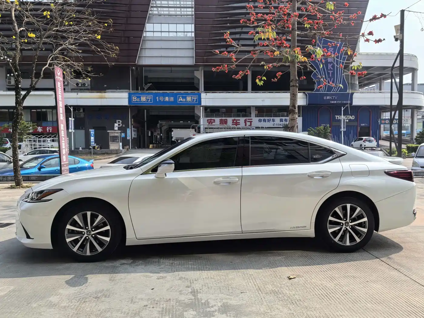 Lexus ES 2020 Model 300h Excellence Edition фото 8