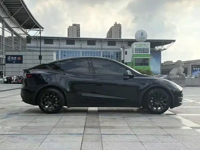 Tesla Model Y 2021 Standard Range Rear-Wheel Drive — фото 5