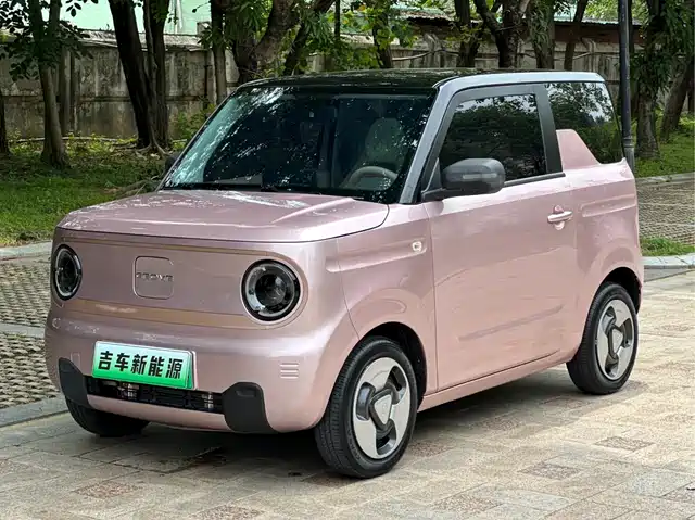 Geely Galaxy Panda 2023 Panda Mini 200km Lively Bear