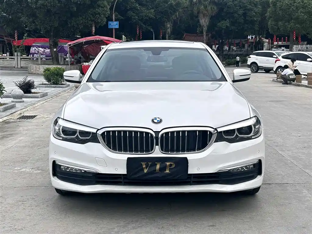 BMW 5 Series 2018 528Li Launch Special Edition фото 2