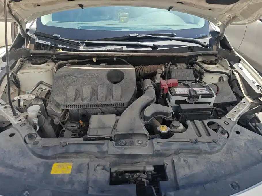 Venucia D60 2019 2019 1.6L XE Manual Comfort Edition