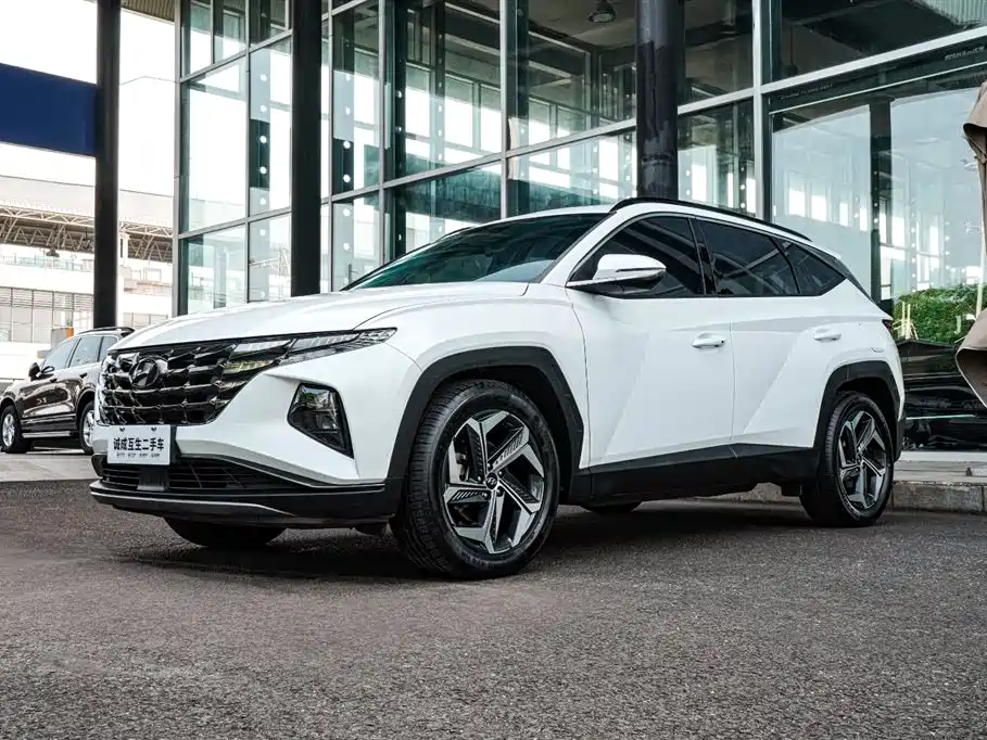 Hyundai Tucson 2021 Tucson L 1.5T DCT LUX Premium фото 13