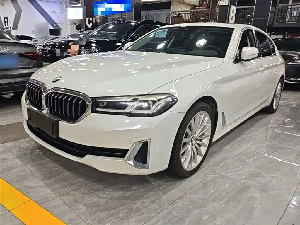 BMW 5 Series 2021 530Li Premium Luxury Package