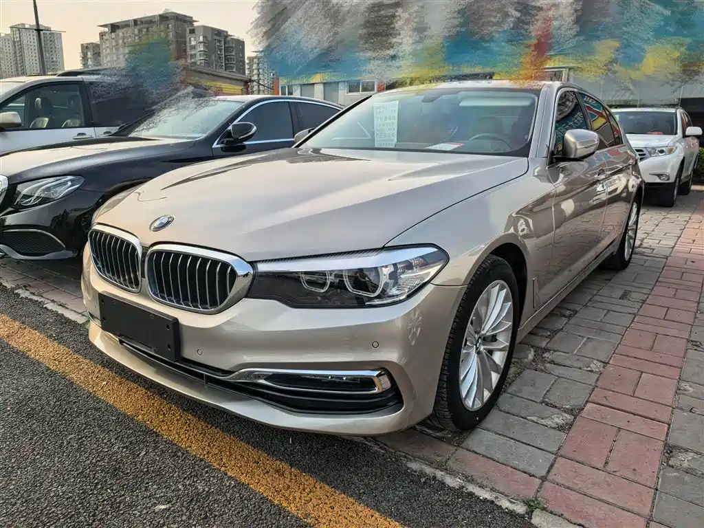BMW 5 Series 2019 530Li Leading Luxury Package фото 2