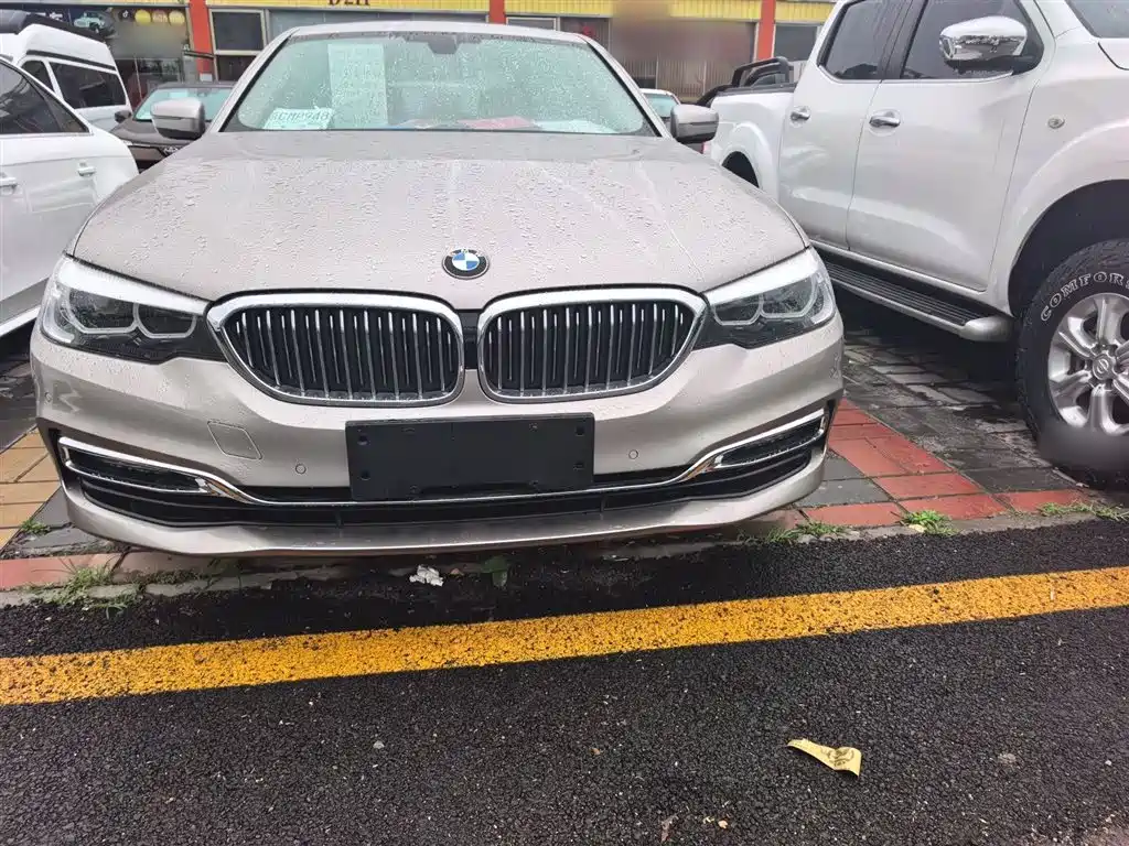 BMW 5 Series 2019 530Li Leading Luxury Package фото 5
