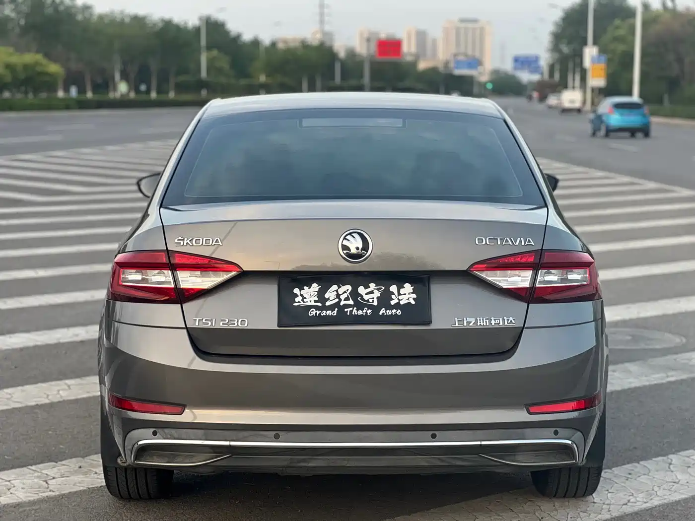 Škoda Octavia 2018 TSI230 DSG Luxury Edition фото 19