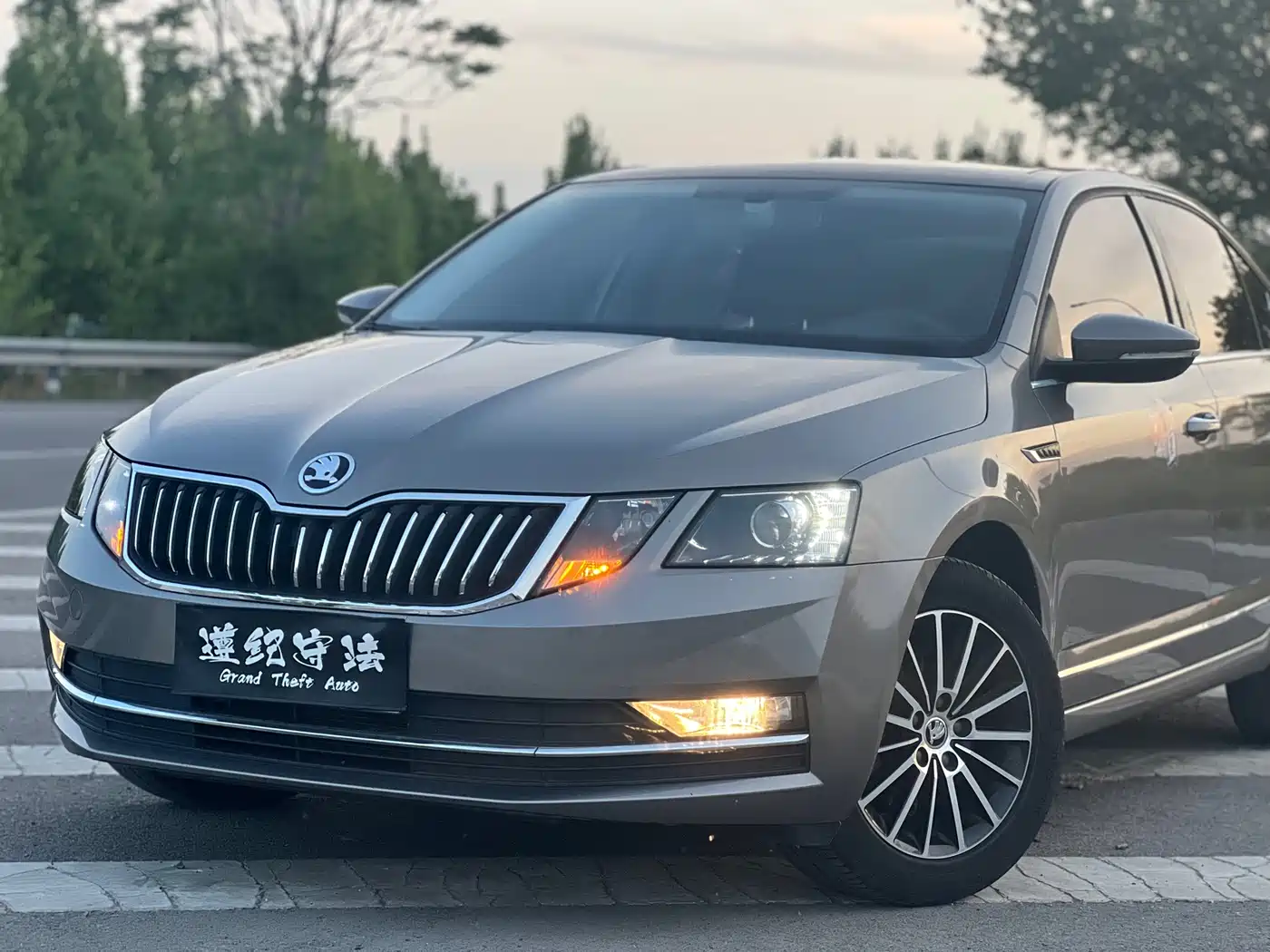 Škoda Octavia 2018 TSI230 DSG Luxury Edition фото 14