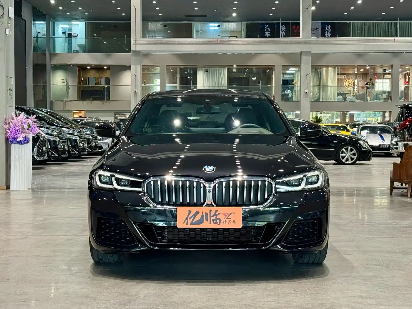 BMW 5 Series 2023 530Li Premium M Sport Package фото 2