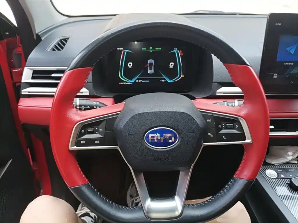 BYD e2 2020 Upgraded Long Range Luxury фото 11
