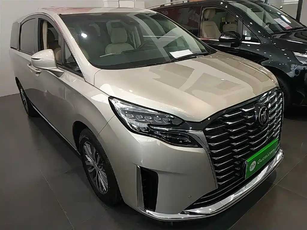 Buick GL8 2023 ES Landmaster Exclusive фото 4
