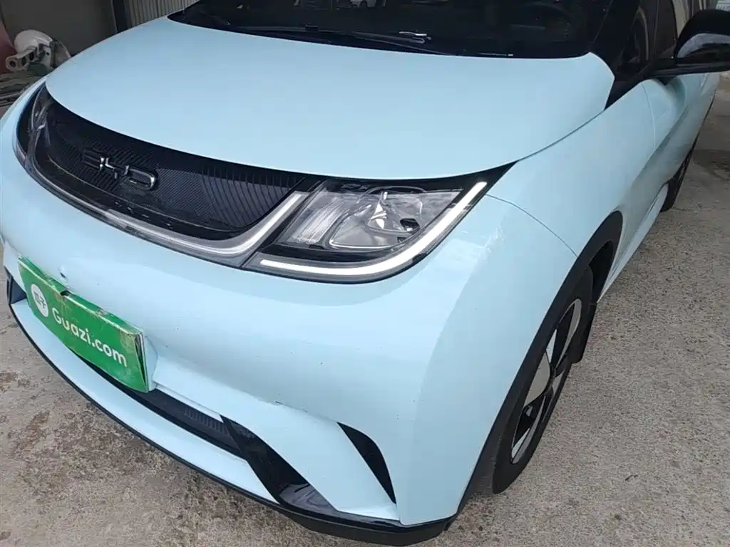BYD Dolphin 2023 420km Fashion Edition фото 24