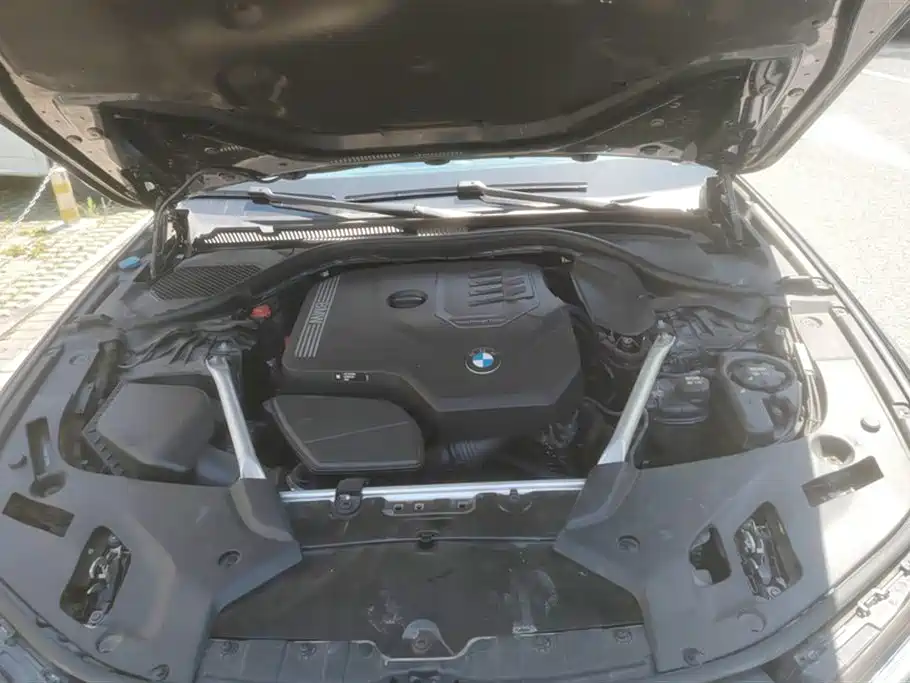 BMW 5 Series 2021 530Li Premium M Sport Package фото 10