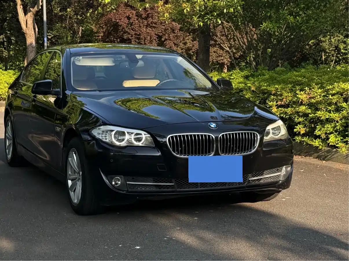 BMW 5 Series 2013 525Li Luxury фото 3