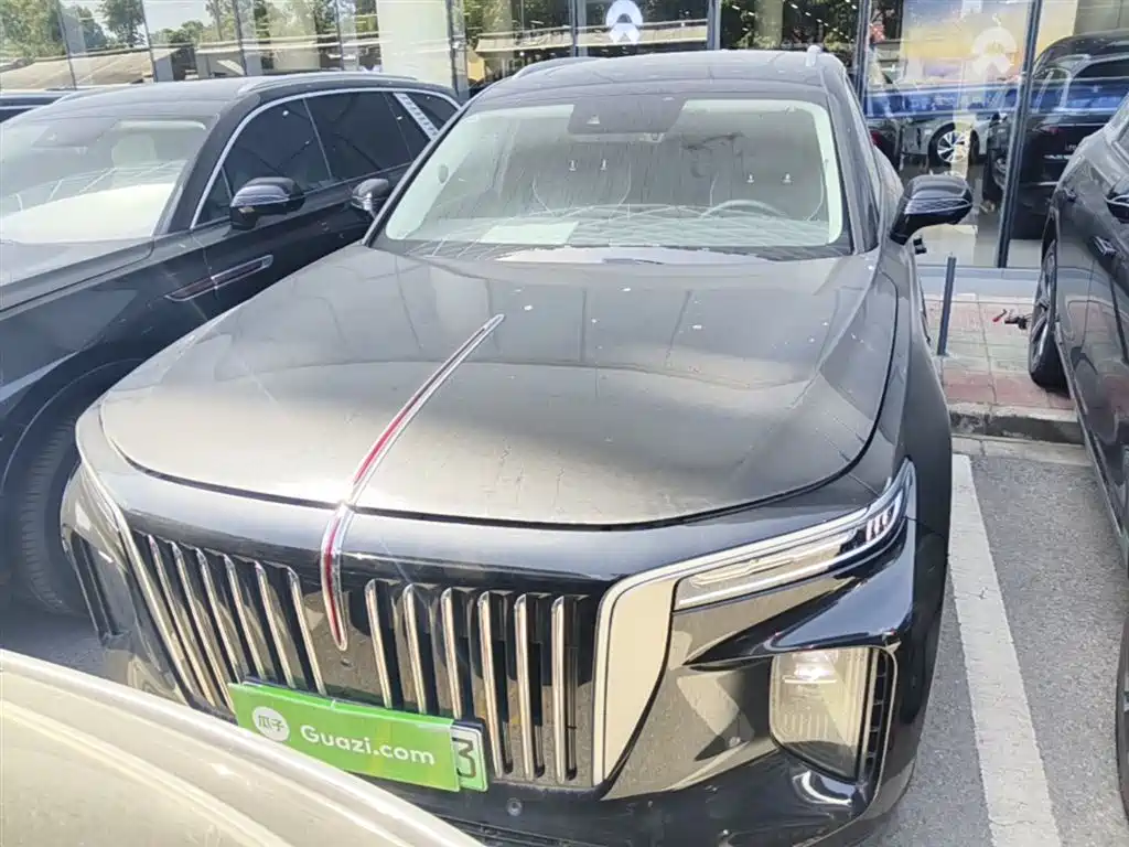 Hongqi E-HS9 2021 460km Flagship Comfort 6-seater фото 3