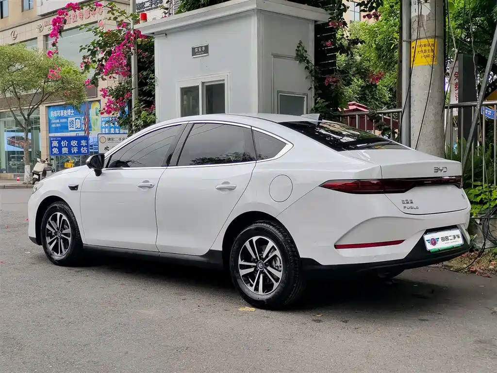 BYD Qin PLUS 2025 DM-i Smart Drive Edition 55KM Surpassing Type фото 4