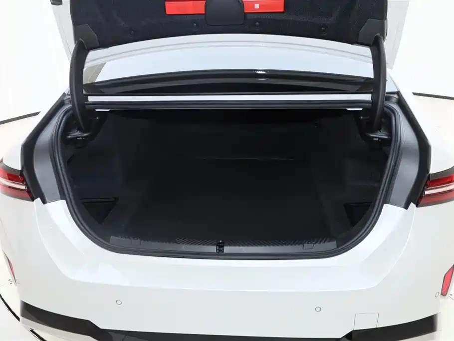 BMW 5 Series 2024 530Li Leading M Sport Package фото 13